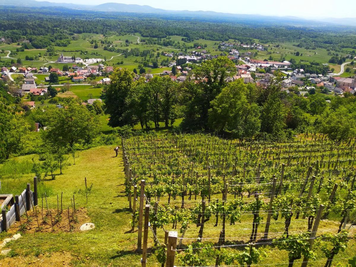 Zidanica-Vineyard Cottage Jakse Semic Ngoại thất bức ảnh